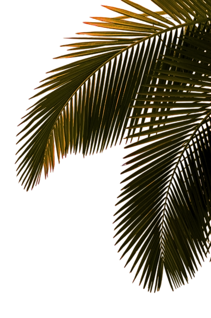 Palm Leaves Decoration